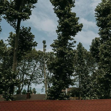 Platan Hotell Siófok Eksteriør bilde